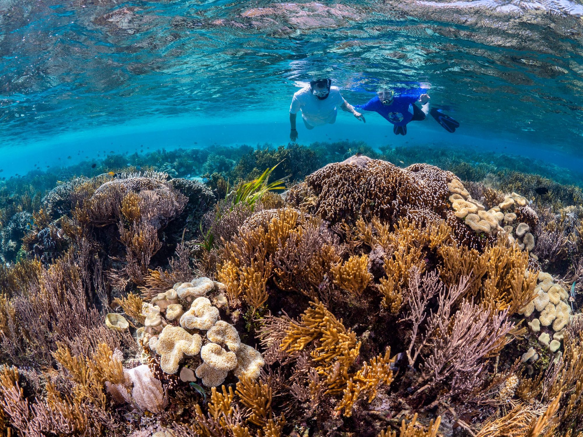 Snorkeling at Blue Lagoon, Bali