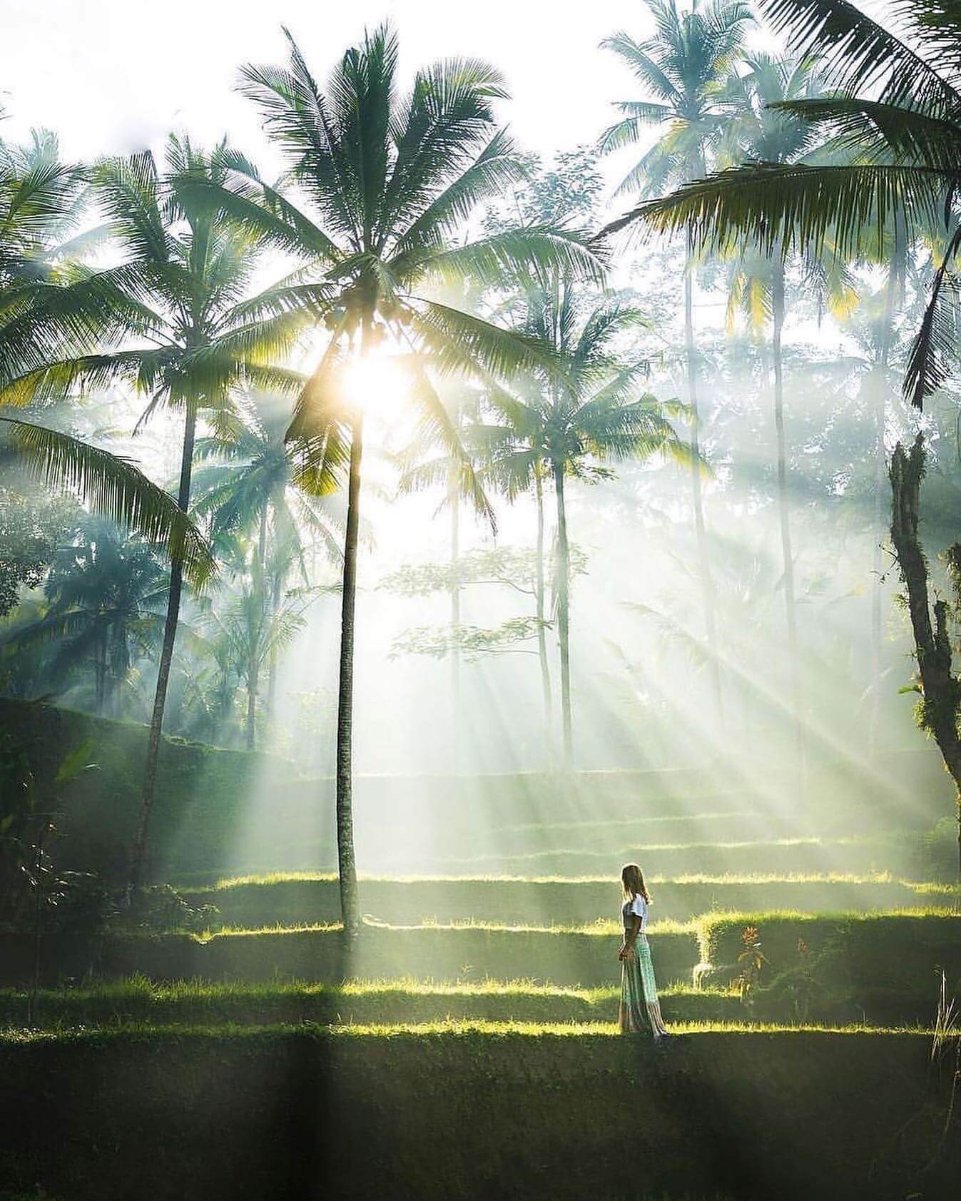 Exploring Bali